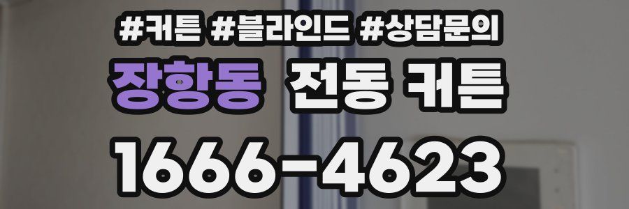 장항동 전동 커튼