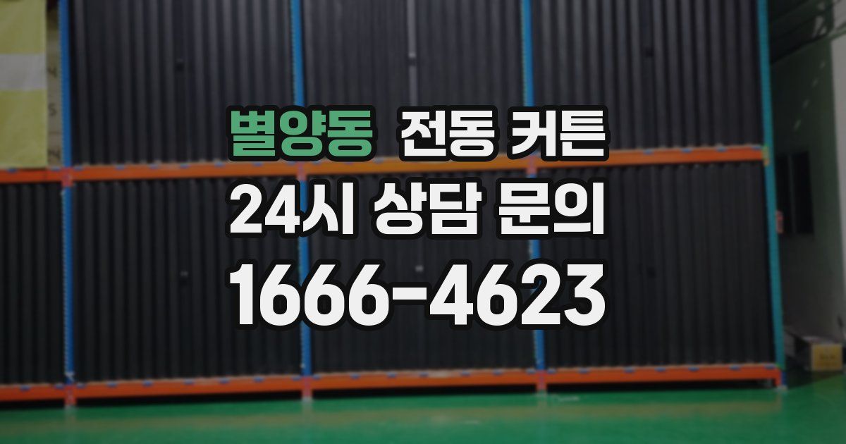 별양동 전동 커튼