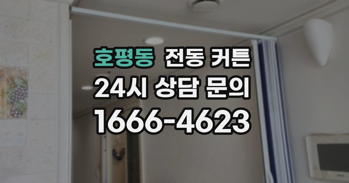 호평동 전동 커튼