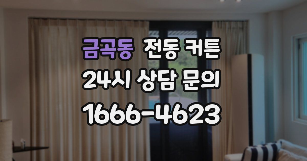 금곡동 전동 커튼