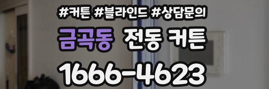 금곡동 전동 커튼