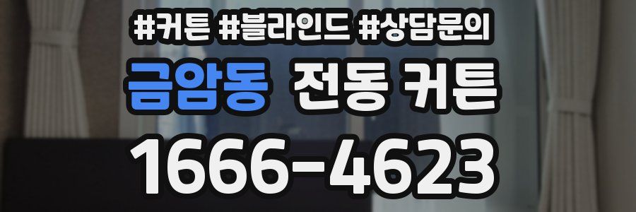 금암동 전동 커튼