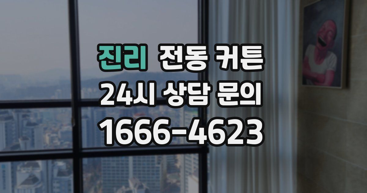 진리 전동 커튼
