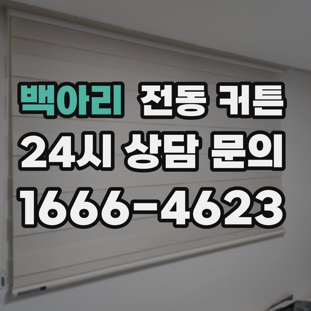 백아리 전동 커튼