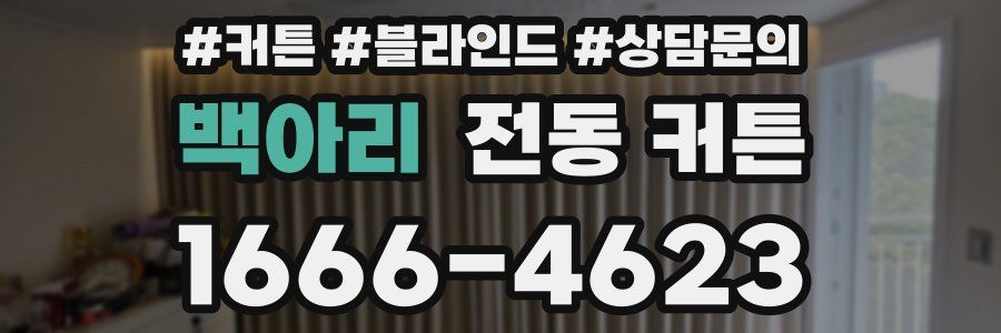 백아리 전동 커튼