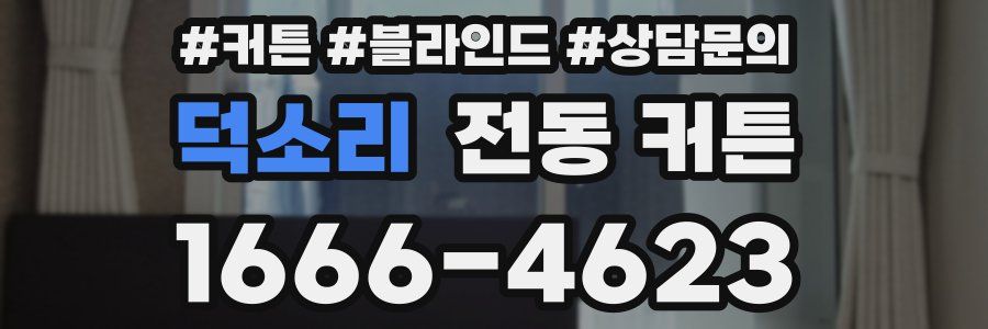 덕소리 전동 커튼