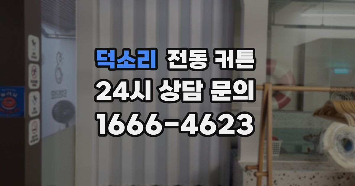 덕소리 전동 커튼
