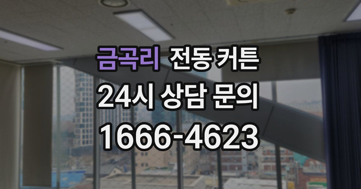 금곡리 전동 커튼