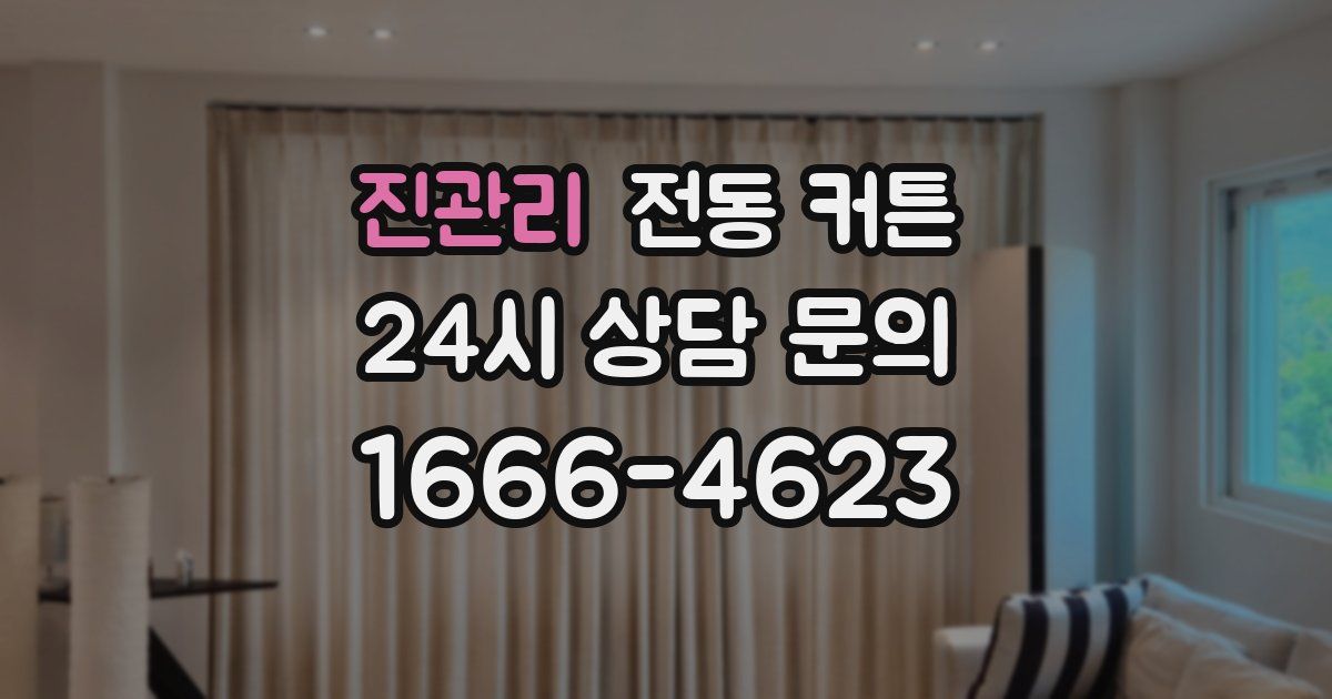 진관리 전동 커튼