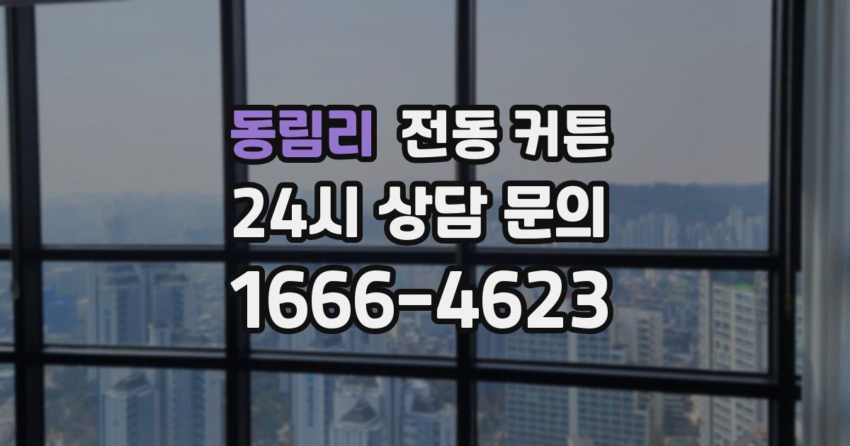 동림리 전동 커튼