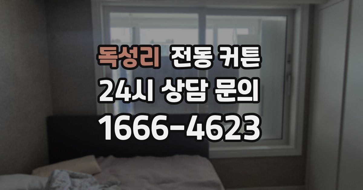 독성리 전동 커튼