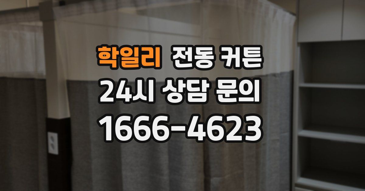 학일리 전동 커튼