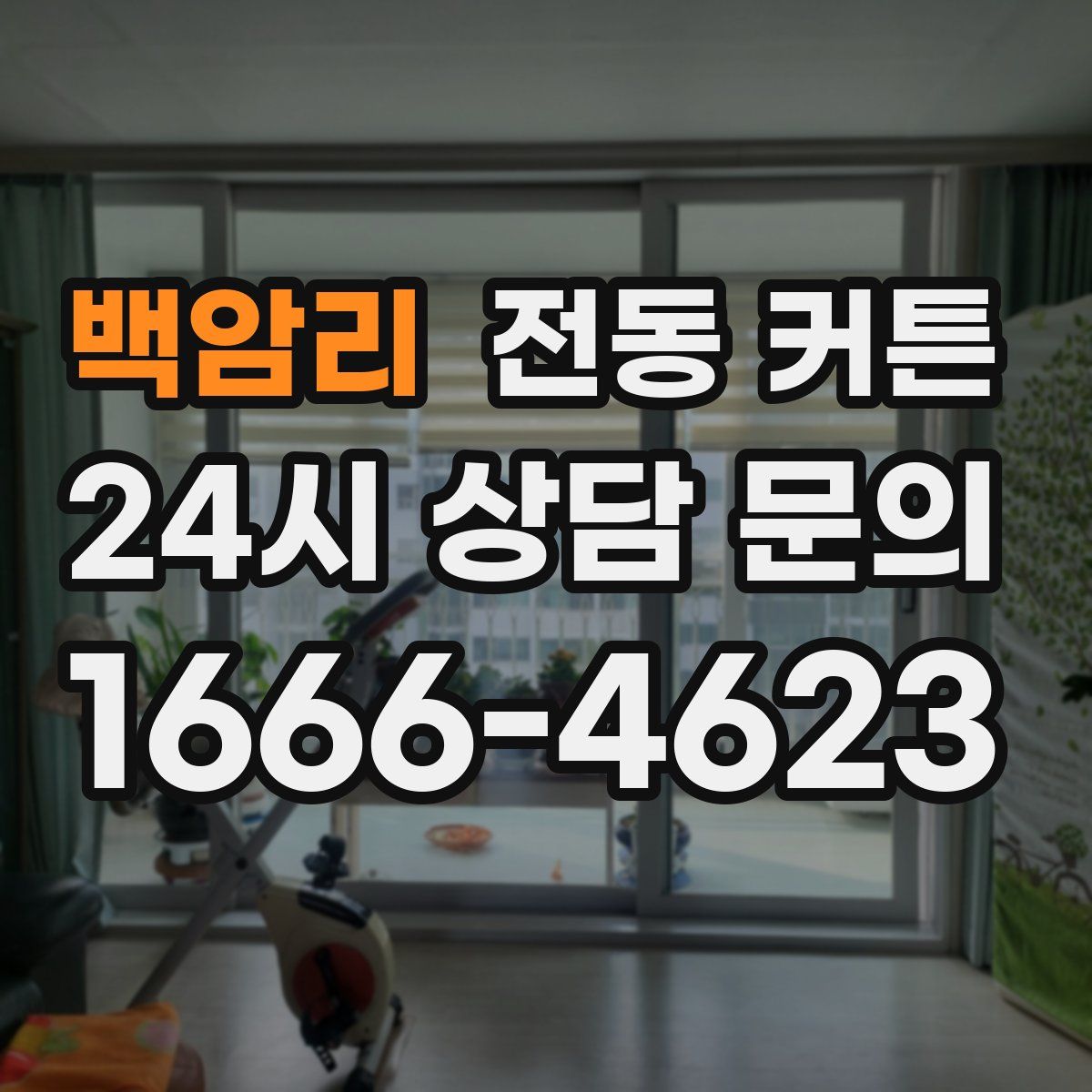 백암리 전동 커튼