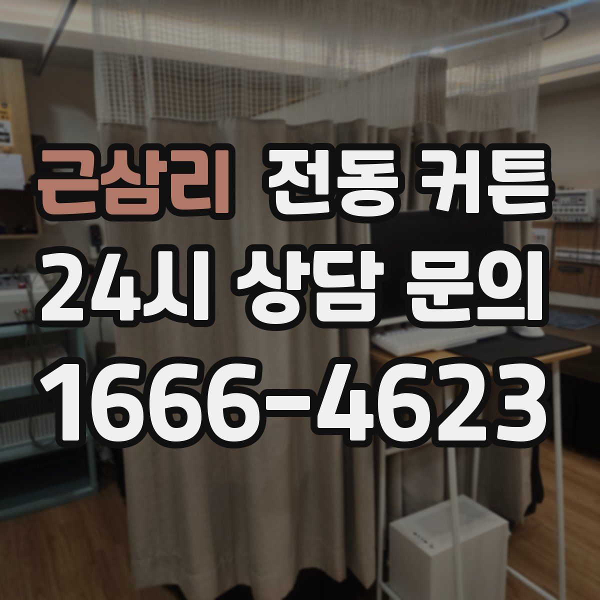 근삼리 전동 커튼
