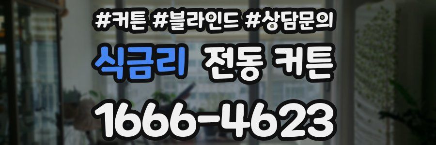 식금리 전동 커튼