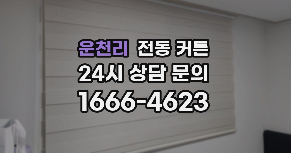 운천리 전동 커튼