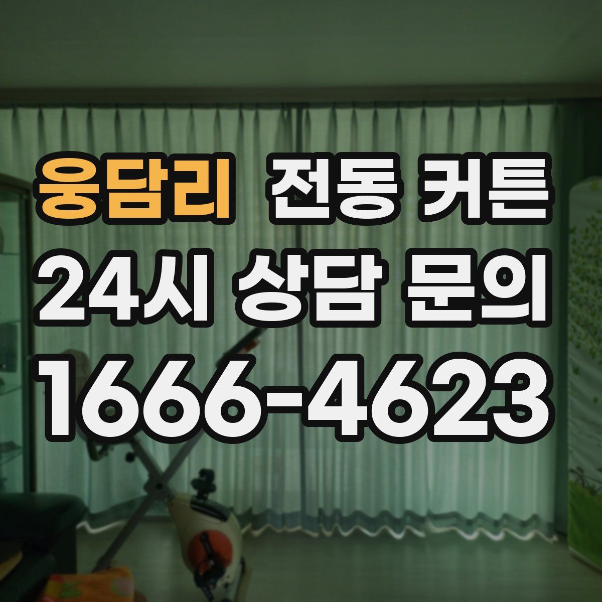 웅담리 전동 커튼