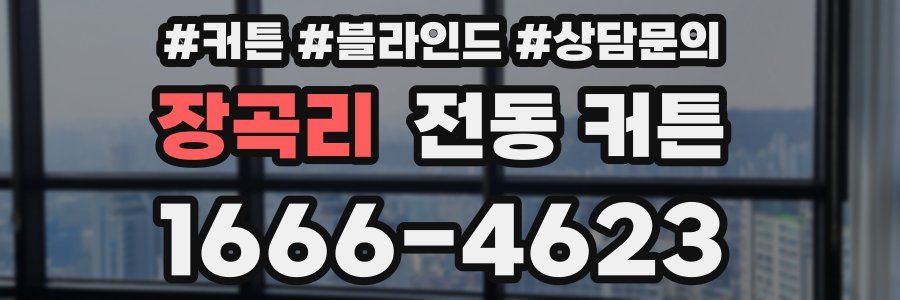 장곡리 전동 커튼