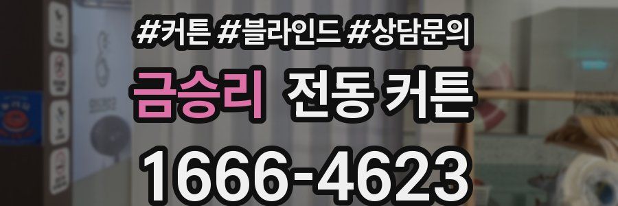 금승리 전동 커튼