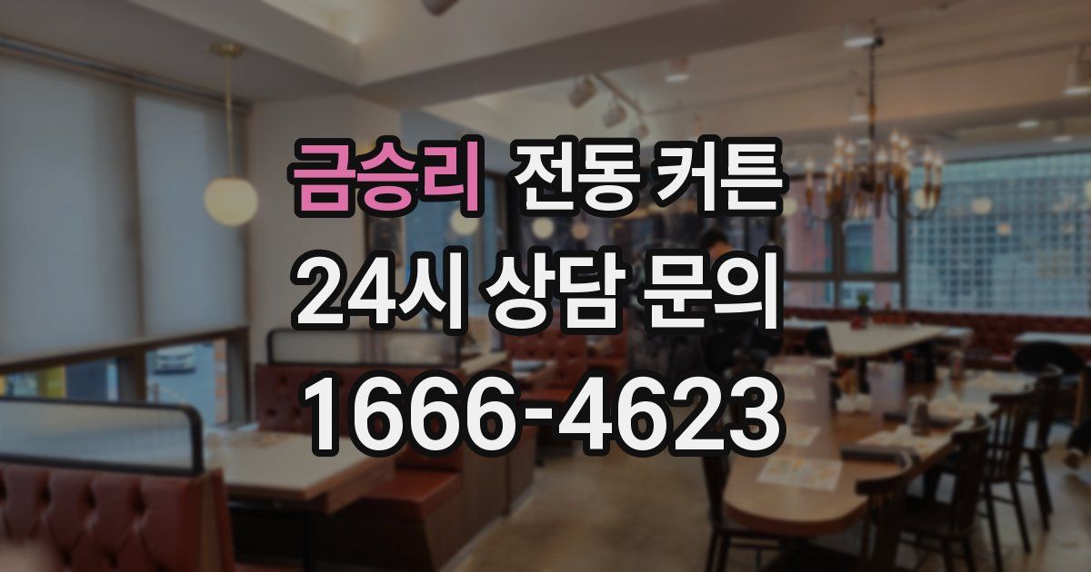 금승리 전동 커튼