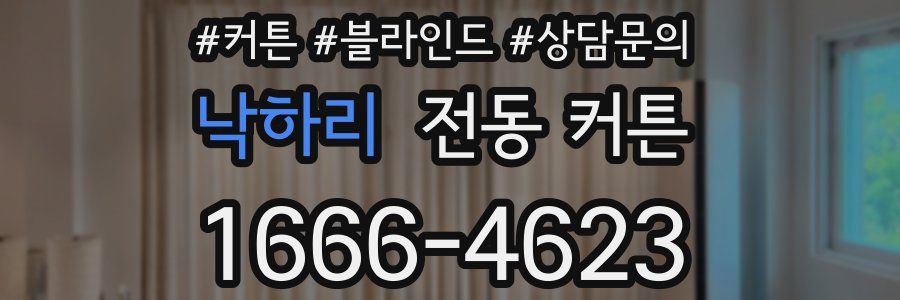 낙하리 전동 커튼