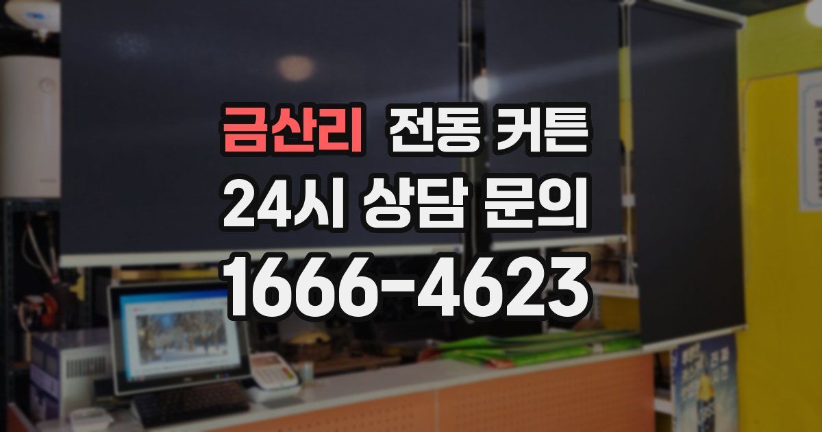 금산리 전동 커튼