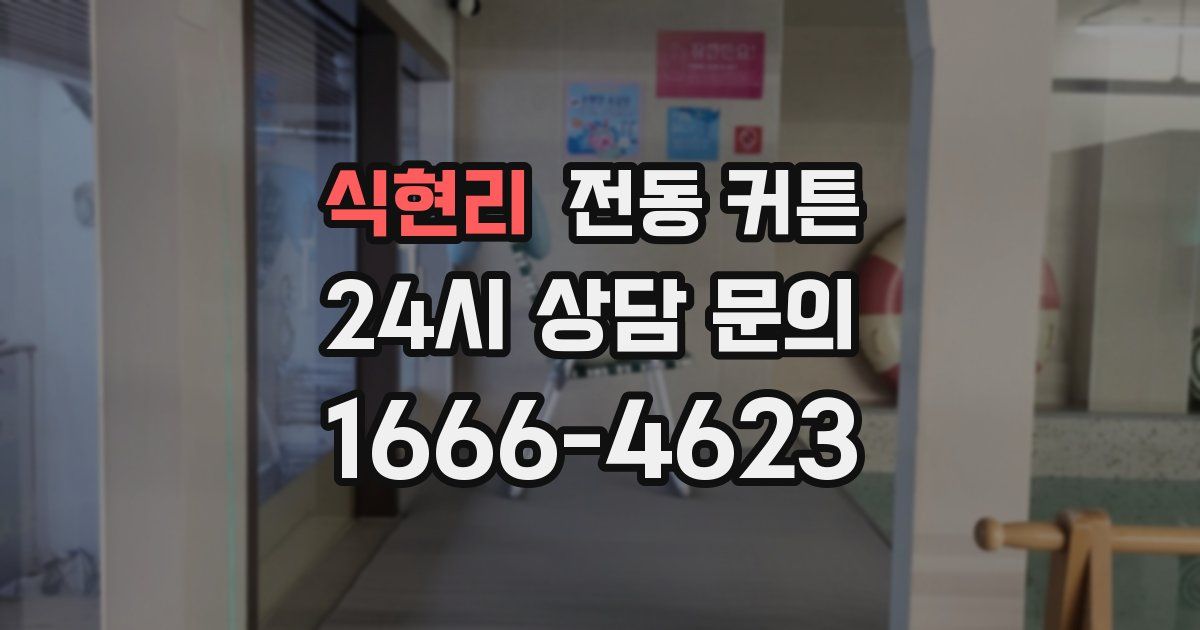 식현리 전동 커튼