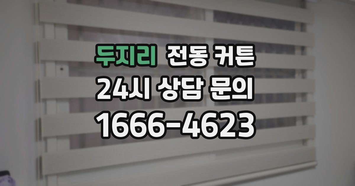 두지리 전동 커튼