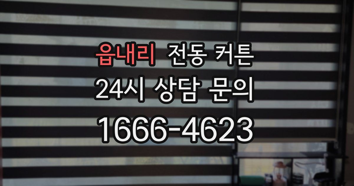 읍내리 전동 커튼
