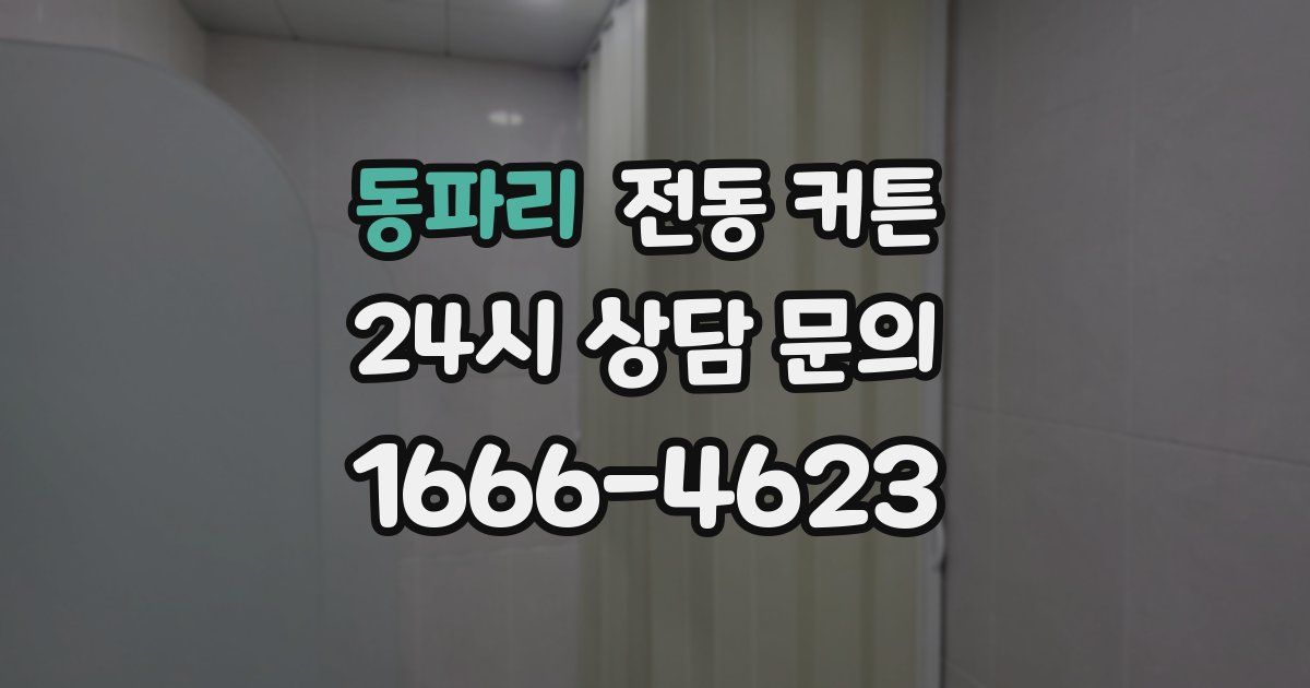 동파리 전동 커튼