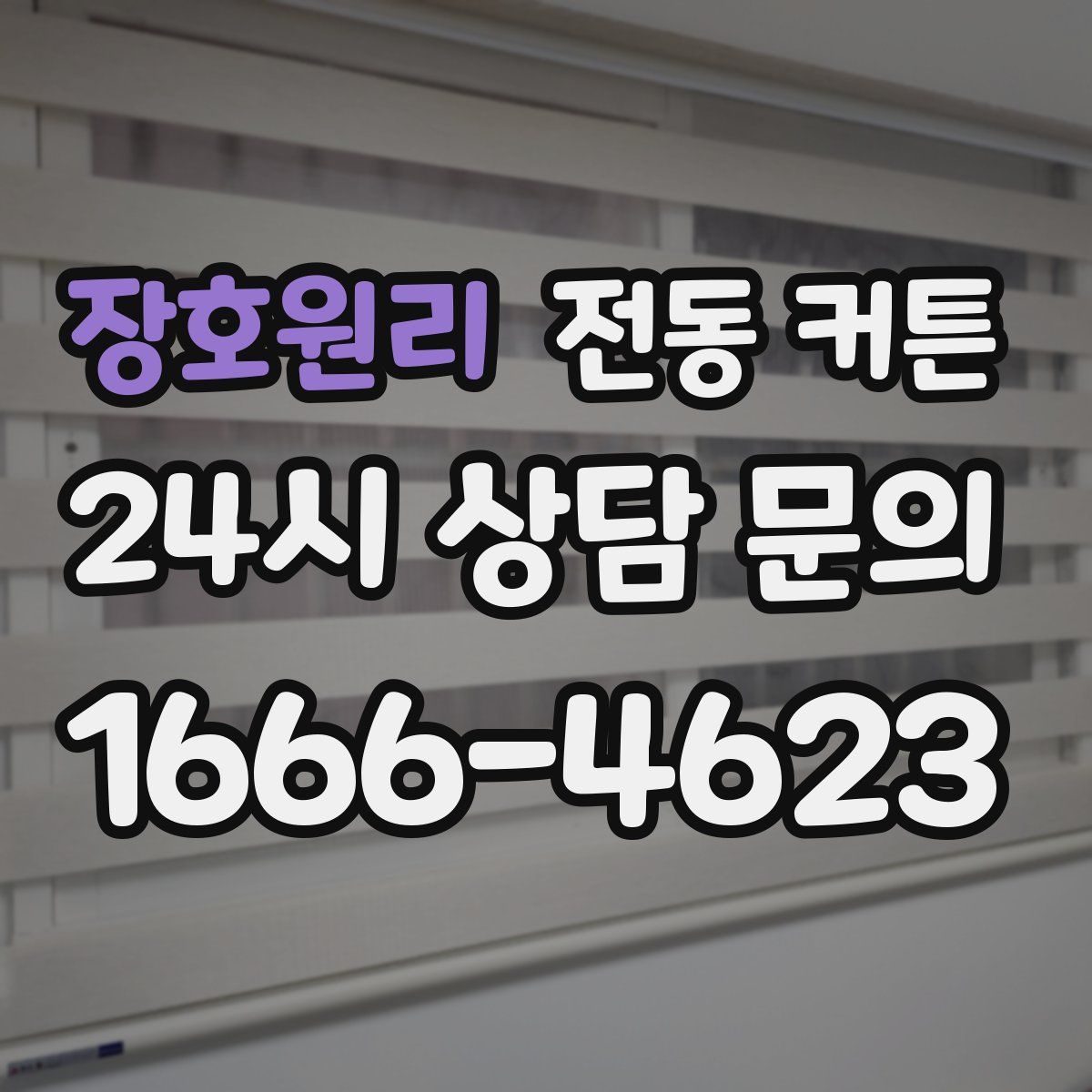장호원리 전동 커튼