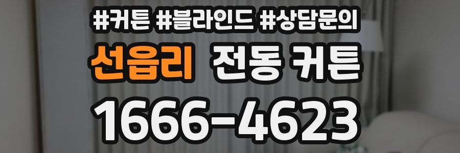 선읍리 전동 커튼