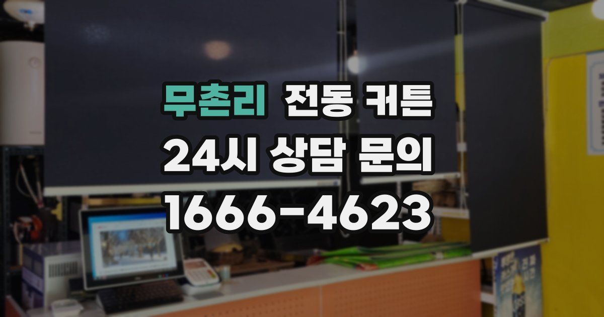 무촌리 전동 커튼