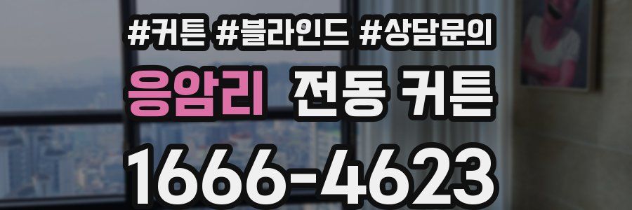응암리 전동 커튼