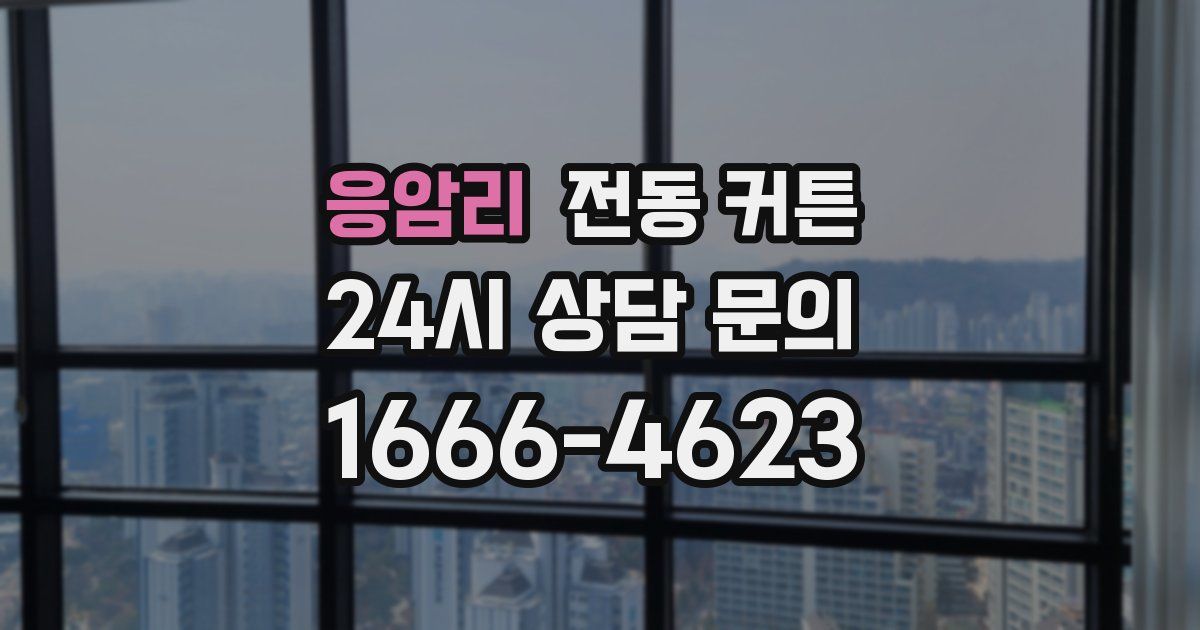응암리 전동 커튼