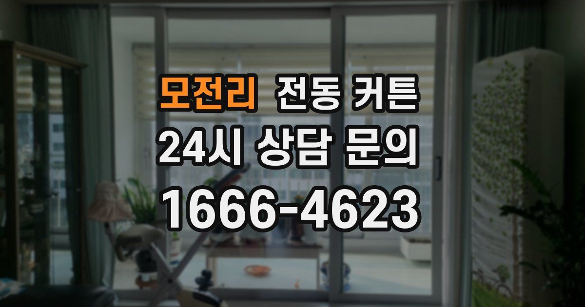 모전리 전동 커튼