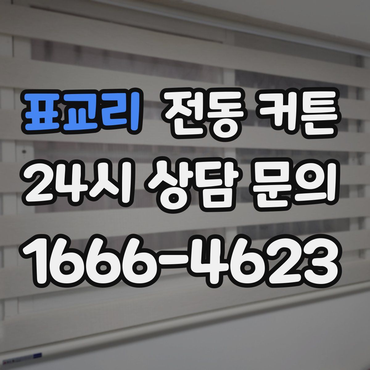 표교리 전동 커튼
