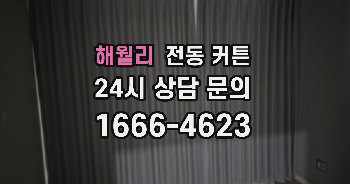 해월리 전동 커튼