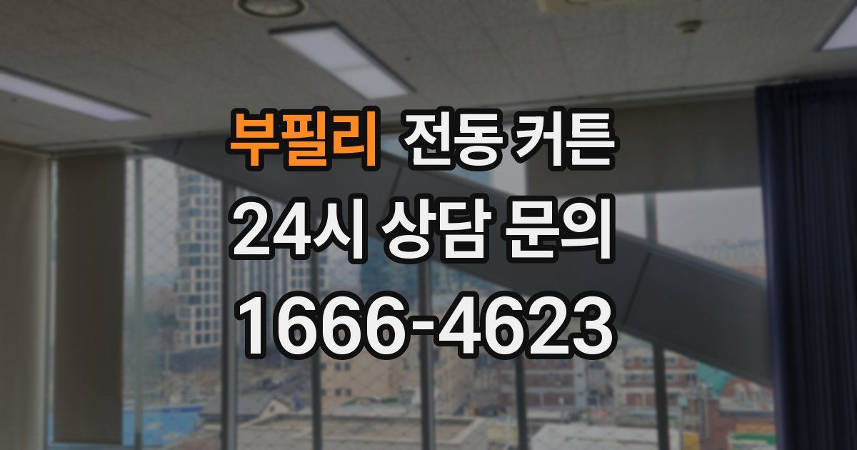 부필리 전동 커튼