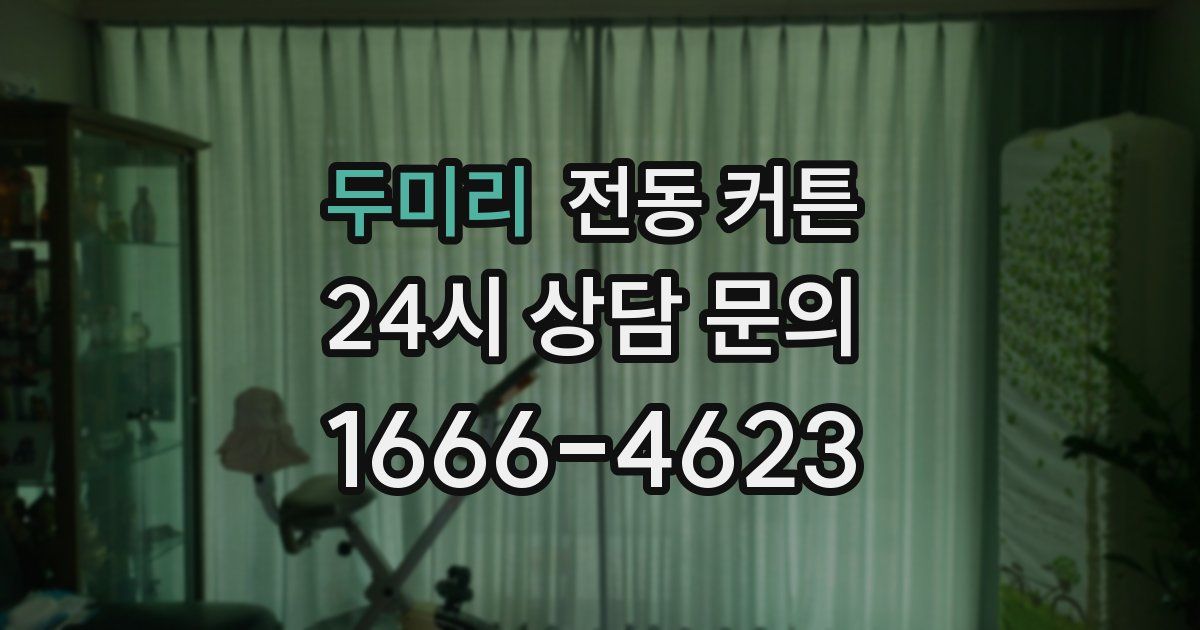 두미리 전동 커튼