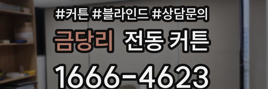 금당리 전동 커튼