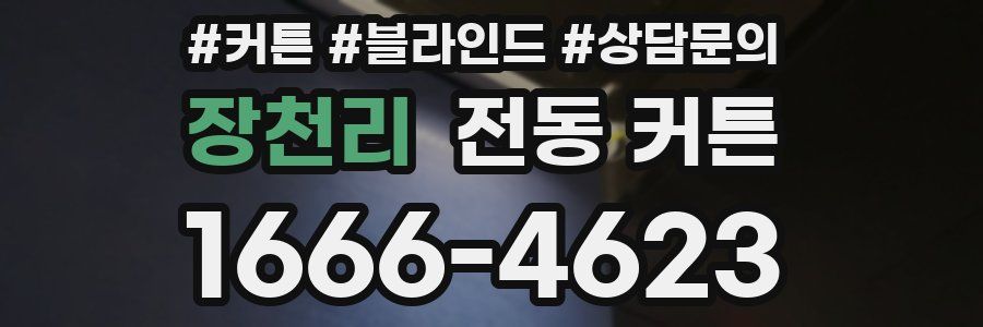 장천리 전동 커튼