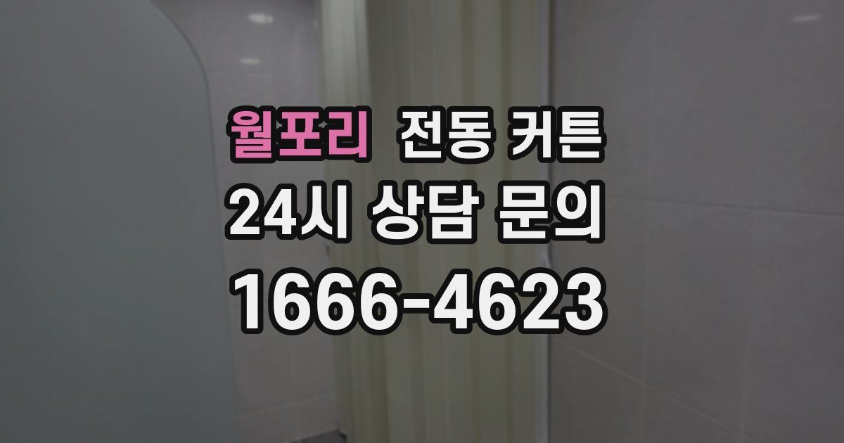월포리 전동 커튼