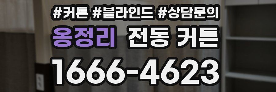 옹정리 전동 커튼