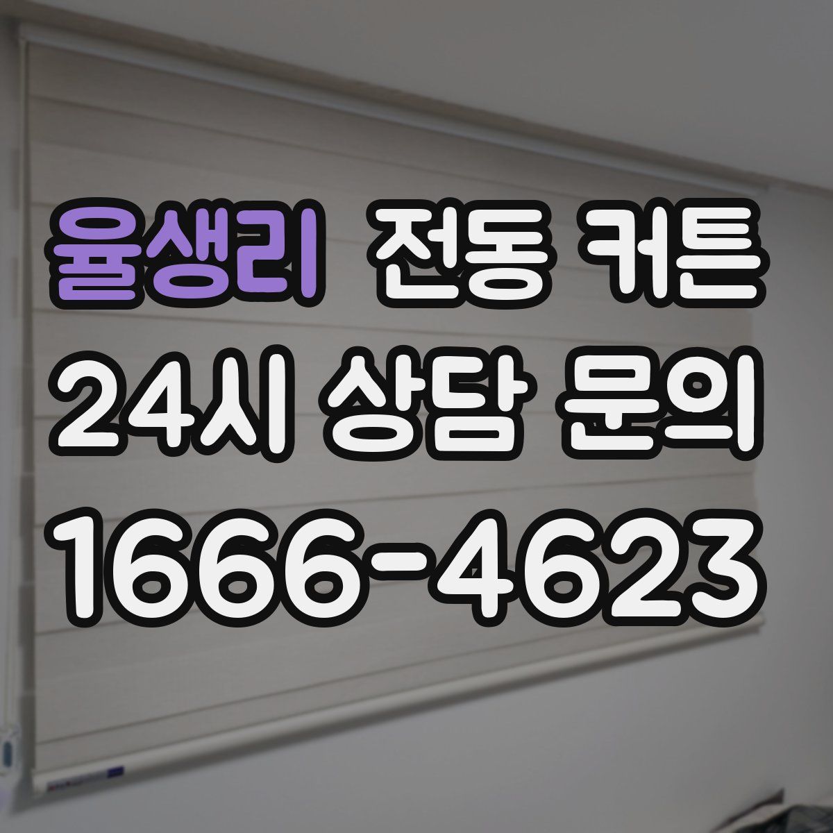 율생리 전동 커튼