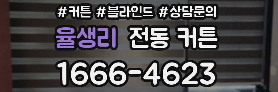 율생리 전동 커튼