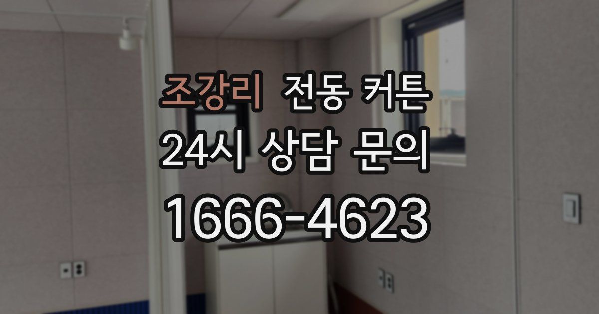 조강리 전동 커튼