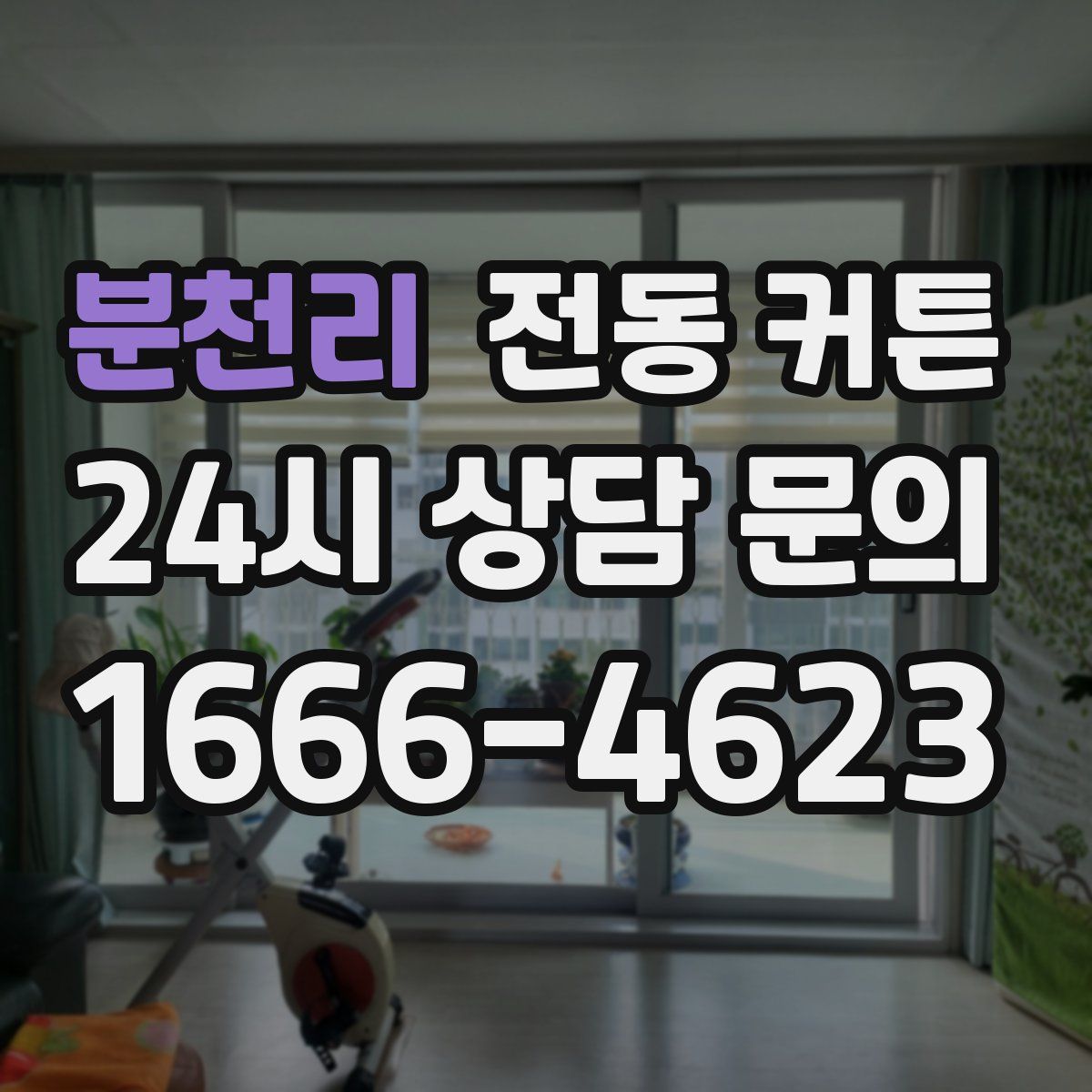 분천리 전동 커튼