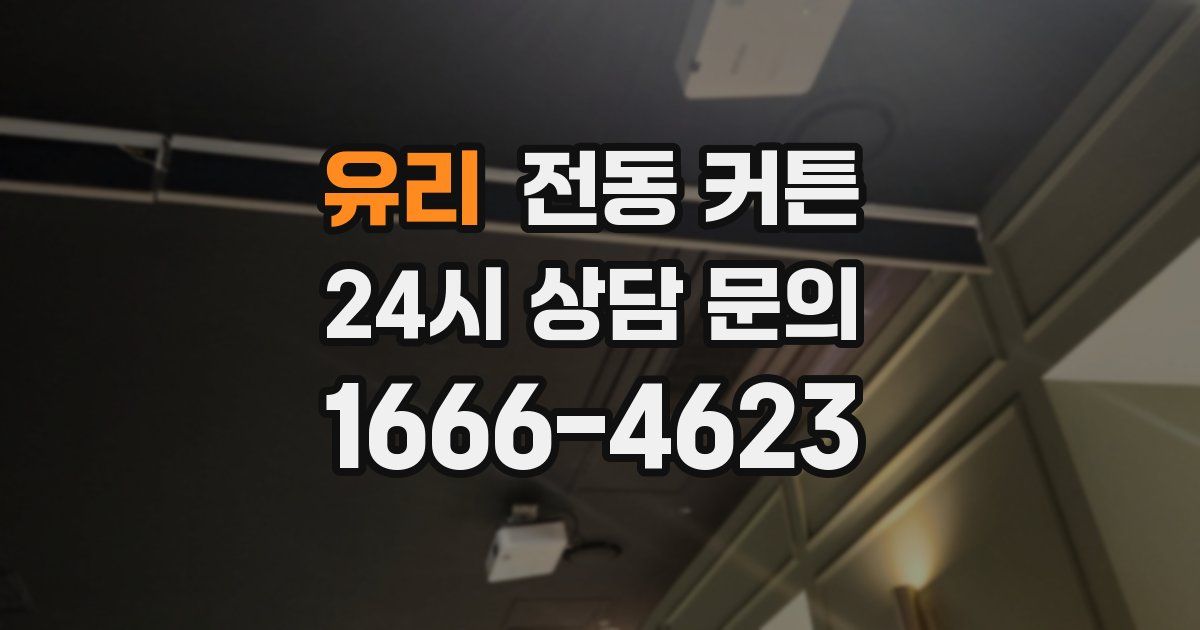 유리 전동 커튼