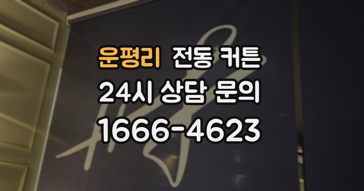 운평리 전동 커튼
